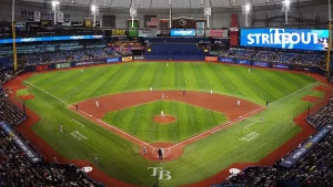 Players from the Rays and Angels have a standoff during the national anthem, resulting in pregame ejections at Tropicana Field.