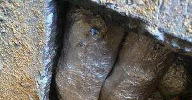 Police Conduct Raid on Mexican Cartel Meth Production Site in Nigeria