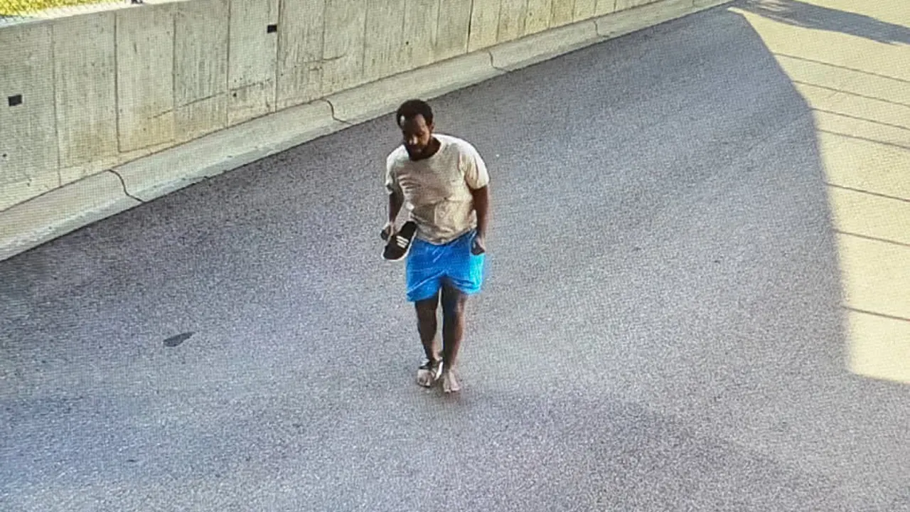 Police apprehend Medicaid fraud suspect who leaped from a building during a raid.