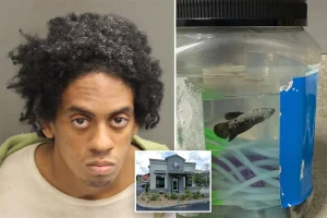 Police arrest man with pet fish who was exposing himself outside a Florida Taco Bell