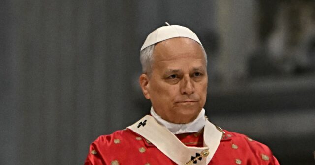 Pope Advocates for Strong Oversight of AI and Its Creators