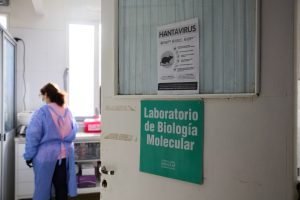 Possible hantavirus case identified in Illinois