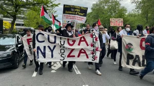 Protesters against Israel demonstrate in New York City and call for action from Mamdani