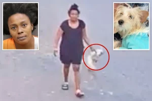 Puppy passes away after a Florida woman was seen kicking and throwing the dog.