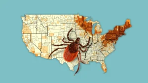 Record rise in ER visits due to tick bites, according to CDC. Maps indicate locations.