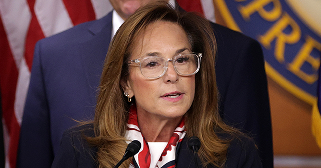 Rep. Lisa McClain: Common Sense Is Not Radical: How Washington Liberals Let Down Women