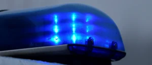Report: Possible Human Remains Found Near Playground, According to New York City Police