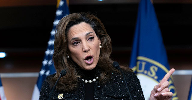 Republican Strategist Starts PAC to Challenge GOP Supporters of Amnesty