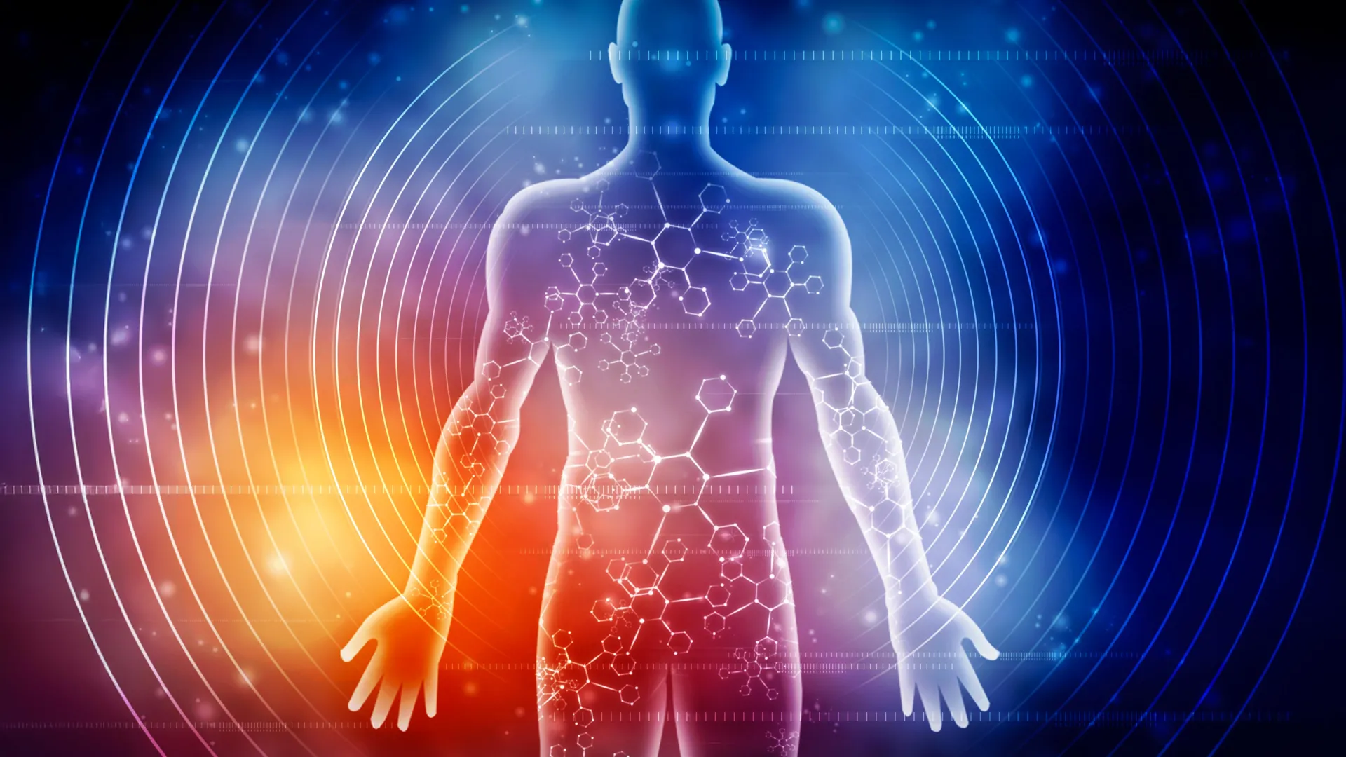 Researchers explain how a week of fasting changes the human body.