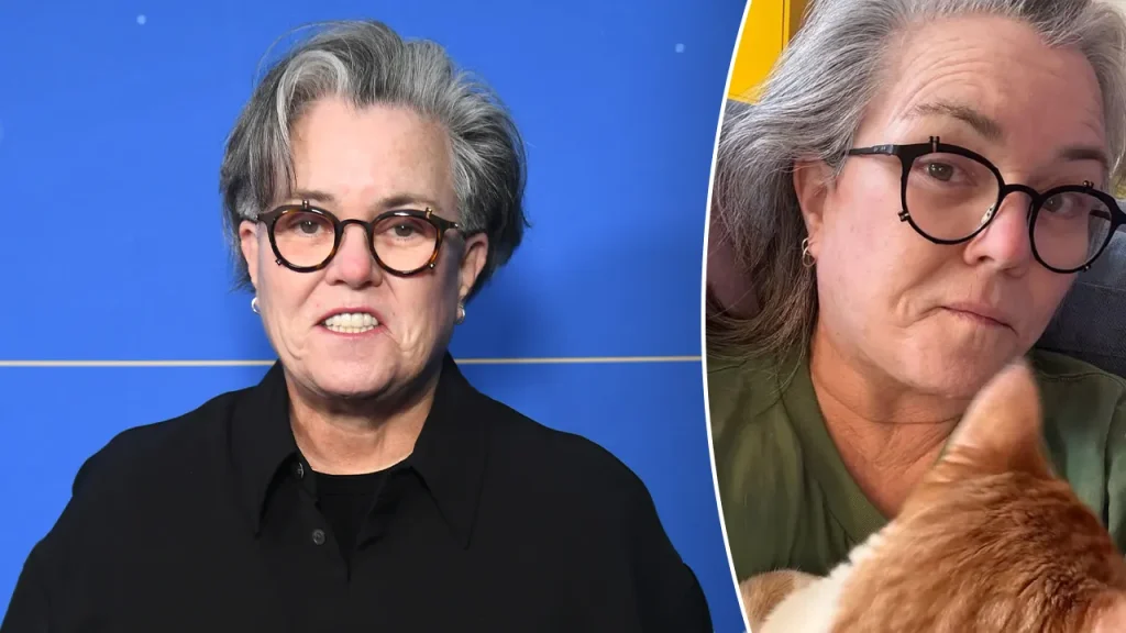 Rosie O'Donnell undergoes facelift despite promise to avoid plastic surgery