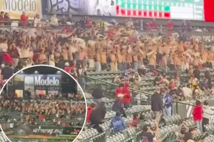 Shirtless LA Angels fans start a 'sell the team' chant in the stadium
