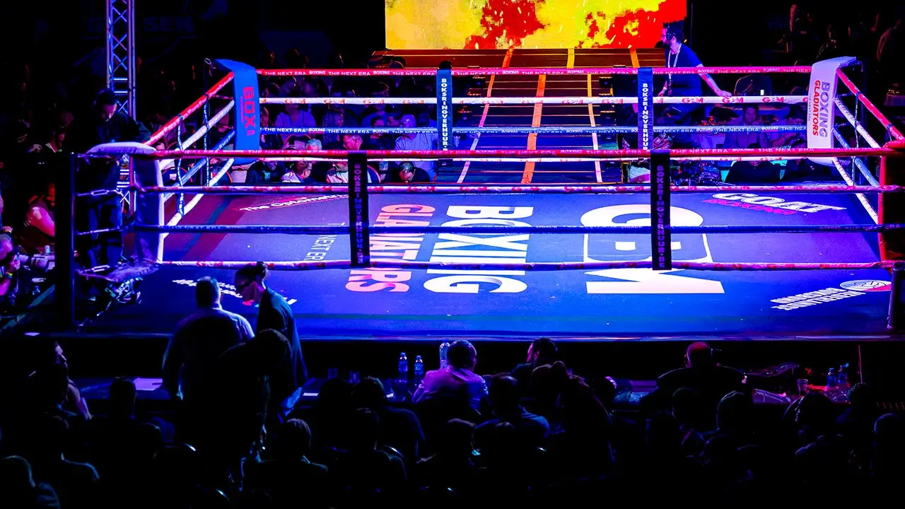 Single-punch knockout in Germany ignites significant anger on social media