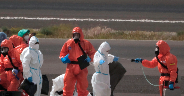 Spain Challenges U.S. Number of Hantavirus Cases Linked to Cruise Ship