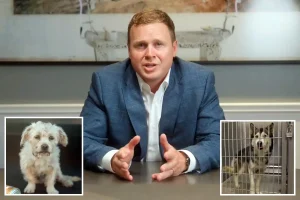 Spencer Pratt shares a 5-step strategy to support 'heavenly' animals in LA, saying 'Dog is just God backwards'