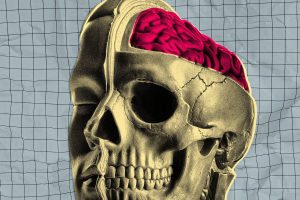 Startup Experiments with Medications on Freshly Removed Human Brains Maintained on Life Support