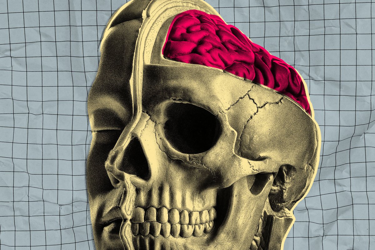 Startup Experiments with Medications on Freshly Removed Human Brains Maintained on Life Support