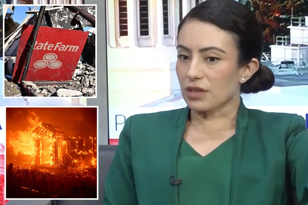 State senator calls for California to take stronger action against State Farm by targeting its key weaknesses.