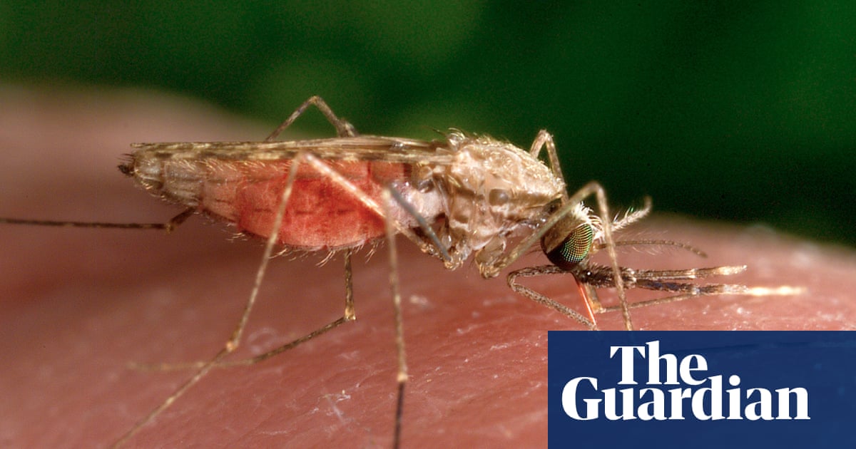 Study suggests mosquitoes may be drawn to insect repellent