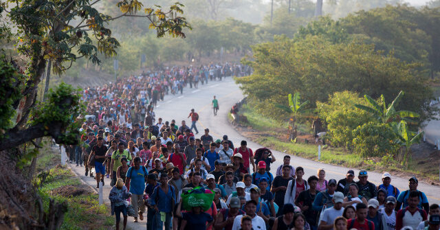 Survey Reveals Most Americans Concerned About Effects of Migration