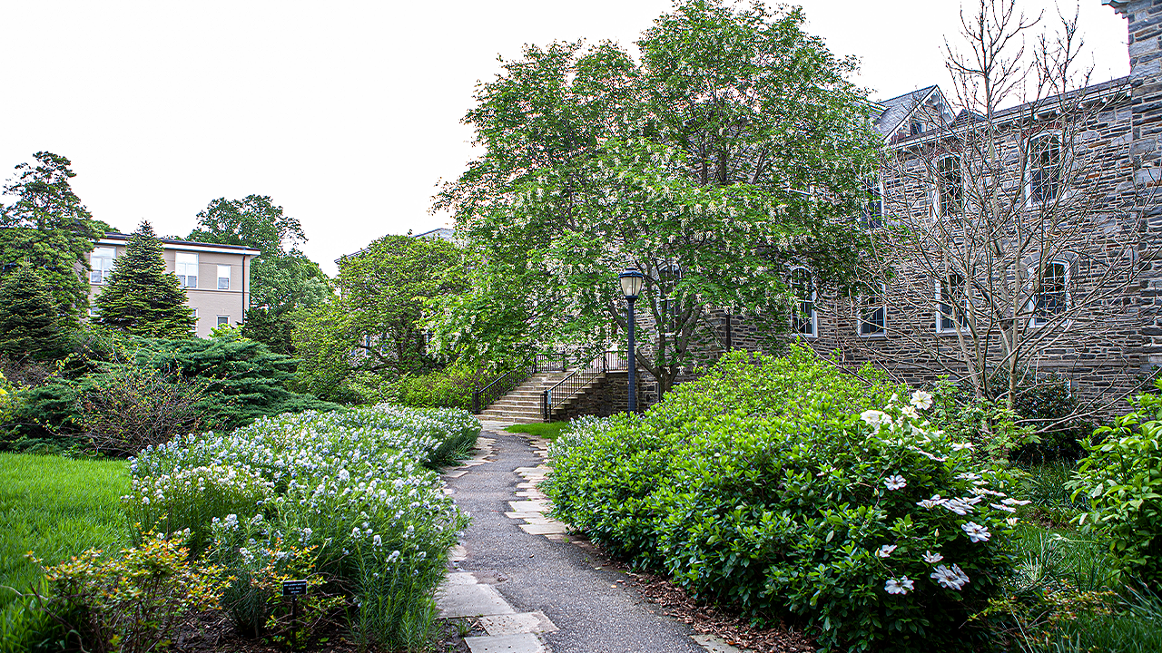 Swarthmore College takes down professor's name due to burial site controversy