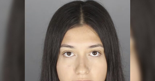 Teacher Caught on Video Having Sex with Student She Was Tutoring