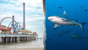 Teen in Texas battles for survival after shark attack near Galveston shore