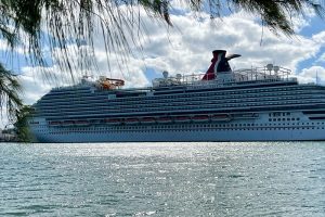 Teen stepbrother charged with murdering Anna Kepner on a Carnival cruise is released before trial.