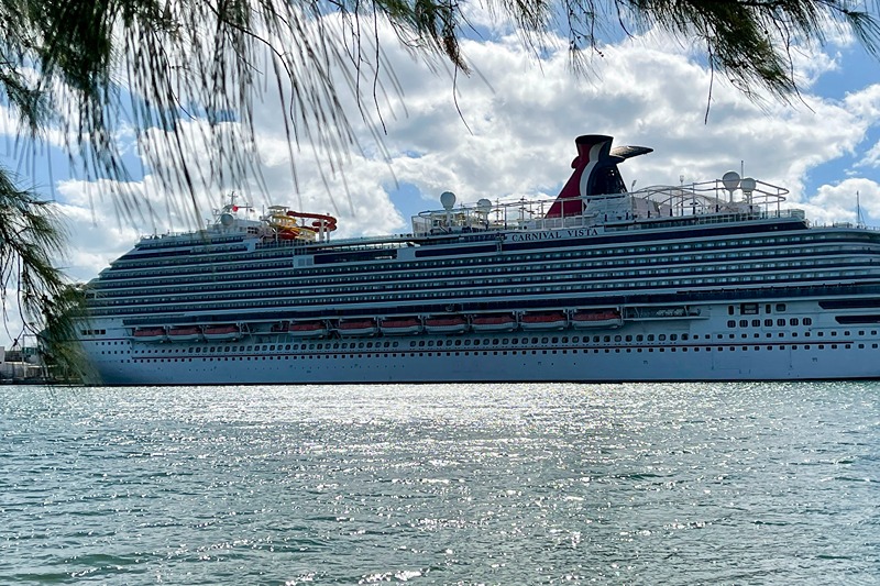 Teen stepbrother charged with murdering Anna Kepner on a Carnival cruise is released before trial.