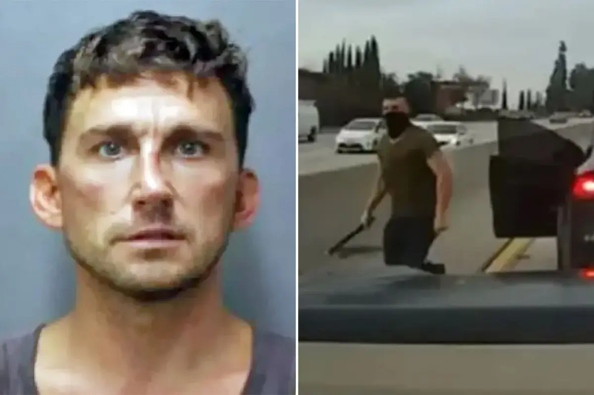 Tesla driver receives seven-year prison sentence for assaulting mother and teenager in Hawaii