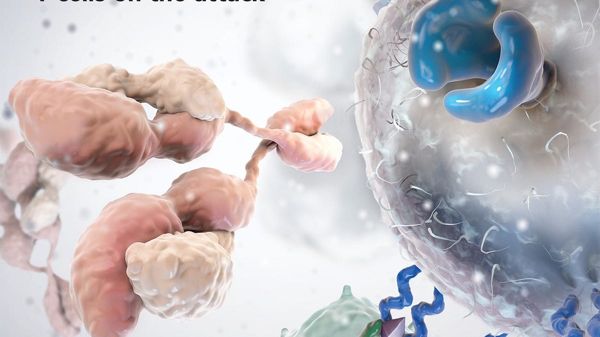 The Extraordinary Growth of Cancer Immunotherapy Treatments