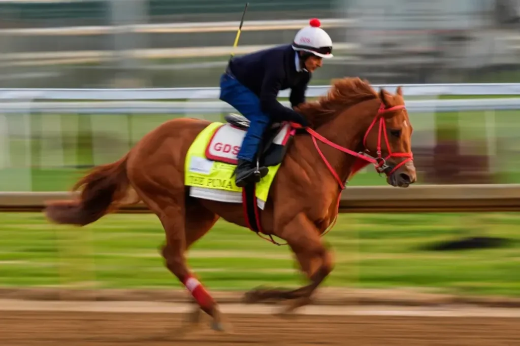 The Puma withdrawn from the Kentucky Derby because of leg swelling