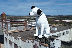 The fate of a 28-foot-tall dog statue, Nipper, in Albany is uncertain.