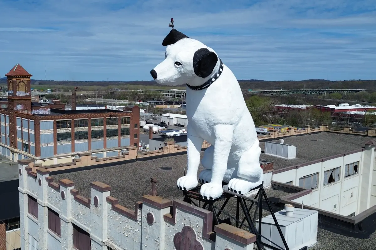 The fate of a 28-foot-tall dog statue, Nipper, in Albany is uncertain.