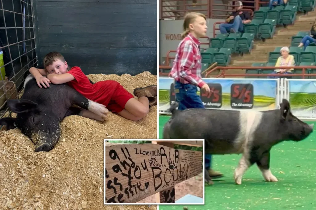 Three disturbing neighbors reportedly killed a boy's therapy pig, discovered in aprons and gloves next to a boiling pot of water.