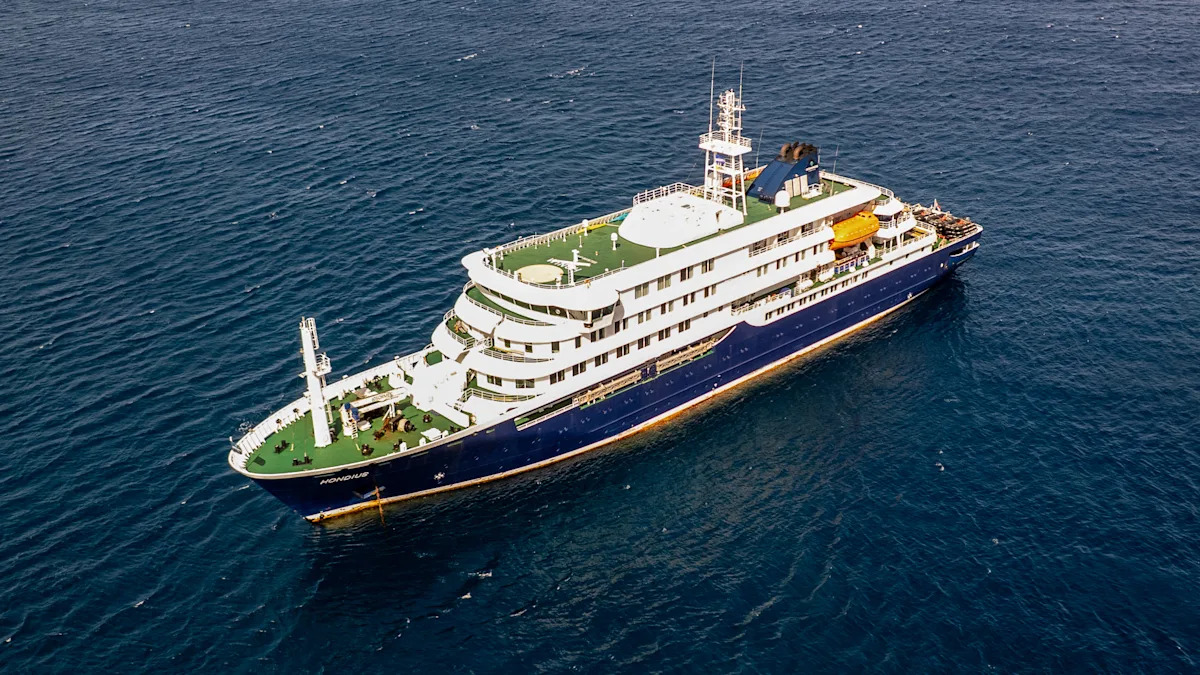 Three individuals have died in a possible hantavirus outbreak on a Dutch cruise ship. Here is what we currently know.