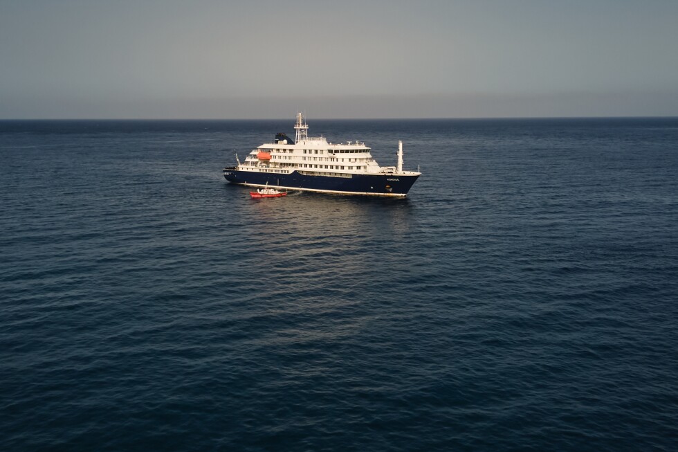 Three people thought to have hantavirus taken from cruise ship to the Netherlands