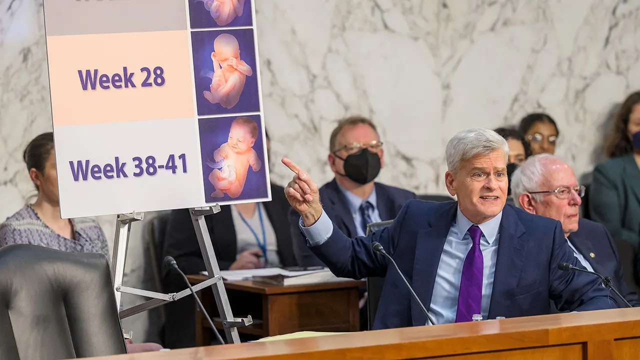 Thune and Johnson call on the Supreme Court to restore limits on mifepristone.