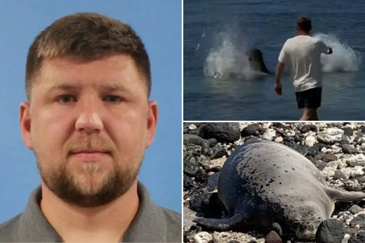 Tourist Igor Mykhaylovych Lytvynchuk arrested after video showed him throwing a rock at an endangered Hawaiian seal