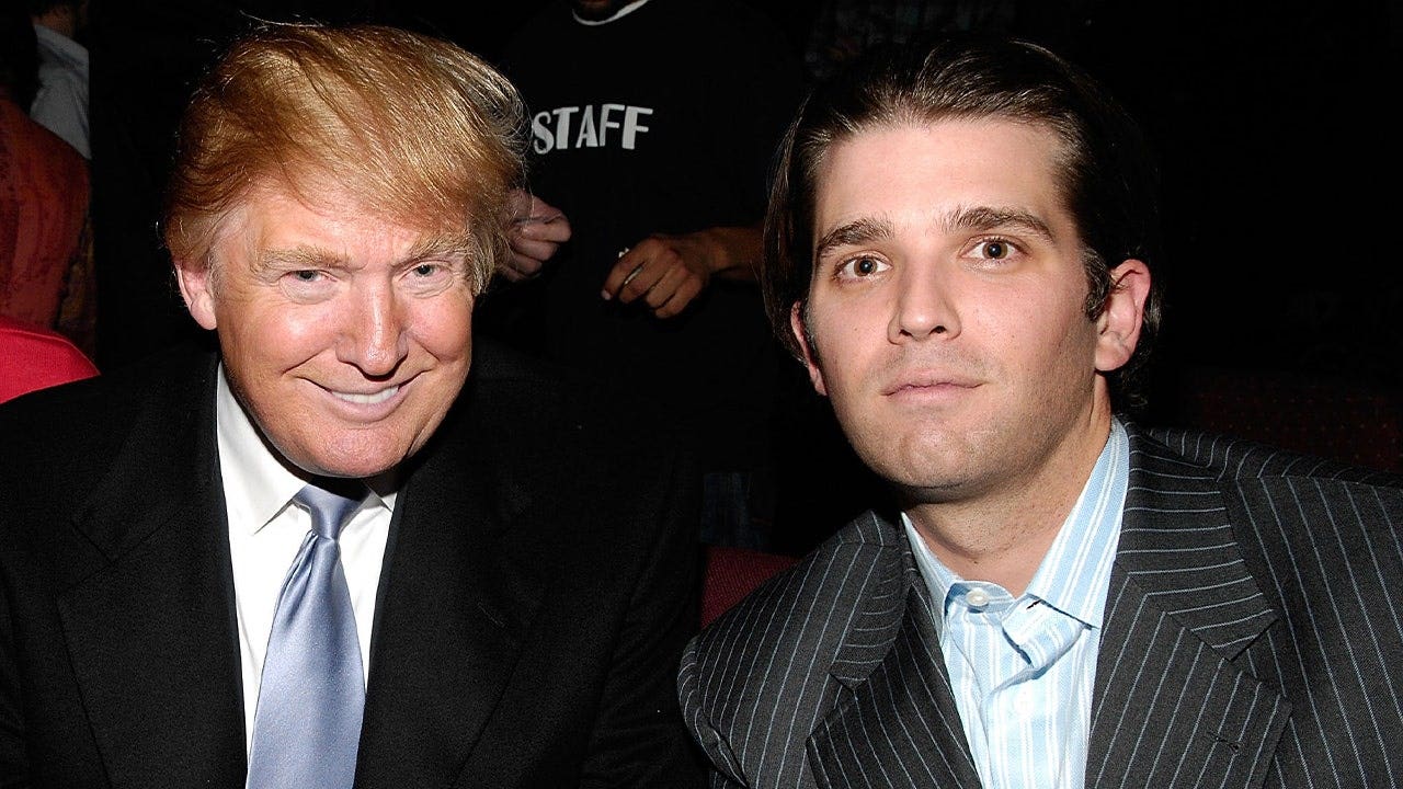 Trump believes Don Jr would make a 'good' host if 'The Apprentice' comes back.