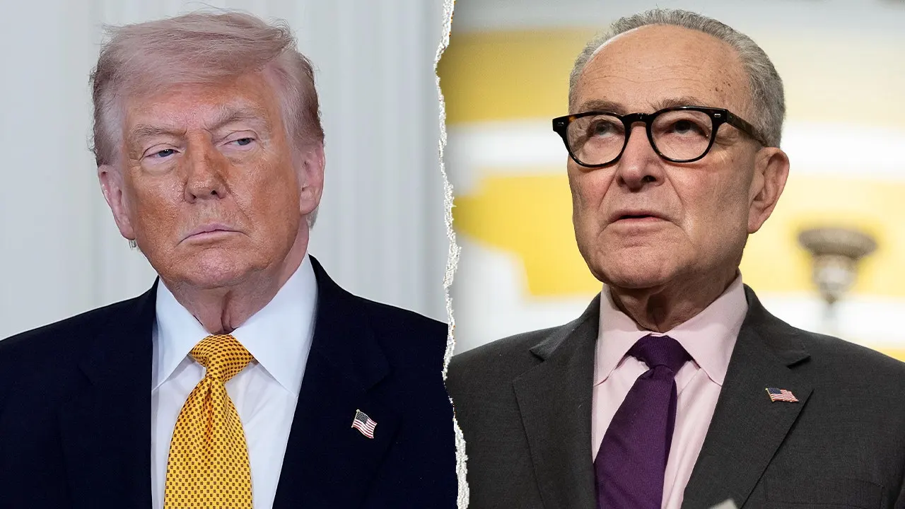 Trump claims Chuck Schumer's new elections committee is working to suppress votes