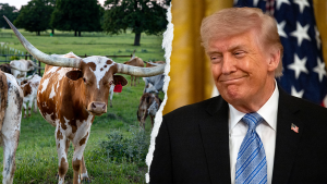 Trump claims Texas Democrat won't win as a vegan in Senate election