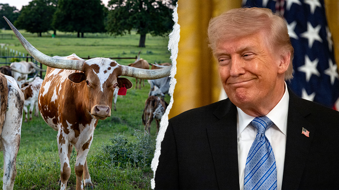 Trump claims Texas Democrat won't win as a vegan in Senate election