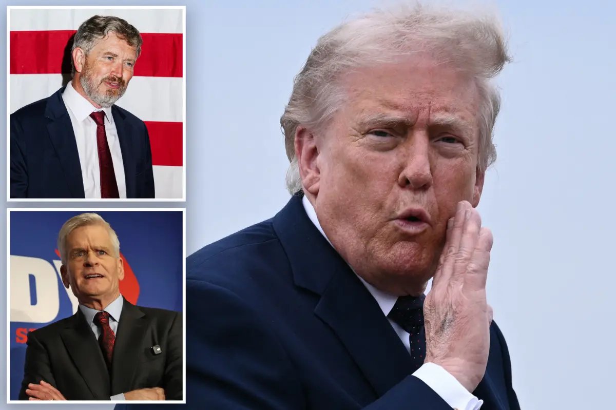 Trump marks Memorial Day by criticizing 'Democrats, RINOs, and Fools'