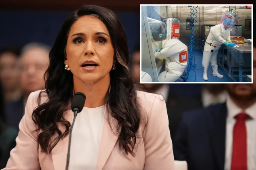 Tulsi Gabbard investigates US support for over 120 biolabs overseas