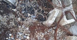 Two Secret Cremation Sites Linked to Cartels Discovered in Mexico Near Texas Border