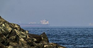 UAE Uses 'Shadow Fleet' Strategies to Move Tankers Through the Strait of Hormuz