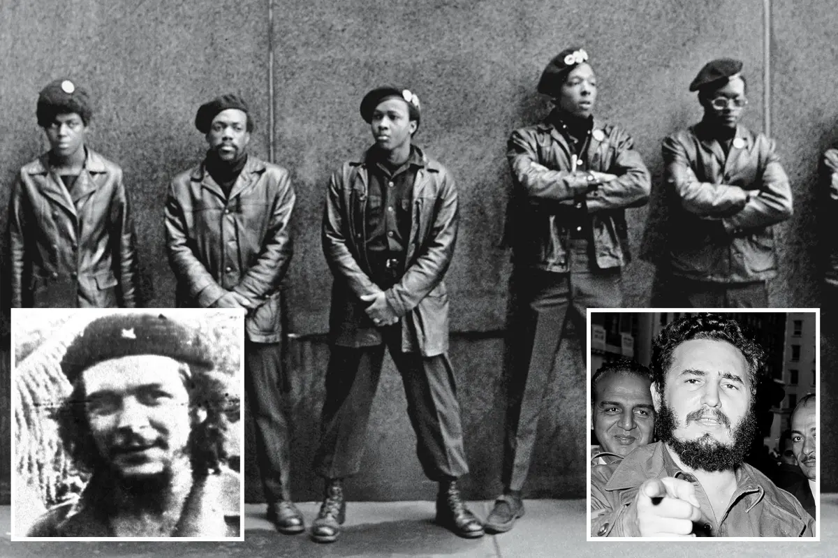 UC Berkeley's promotion of Castro, Che Guevara, and the Black Panthers using taxpayer money: Report