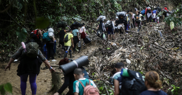 U.S. and Panama to Restore Darién Gap Following Environmental Crisis from Mass Migration
