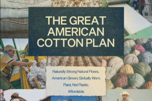 USDA initiates Great American Cotton Plan to revitalize the U.S. cotton sector