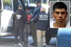 Unauthorized immigrant arrested for igniting several 'hazardous' fires on Long Island – handed over to ICE since charges are not bail eligible: officials